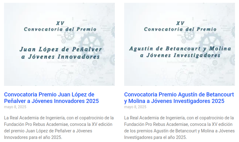 Imagen de Premios RAI jóvenes investigadores 2025